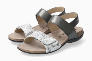 Agave Dark Gray 152