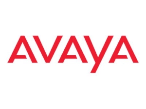 Avaya - Power supply - hot-plug / redundant (plug-in module) - 1025 Watt AL1905A19-E6
