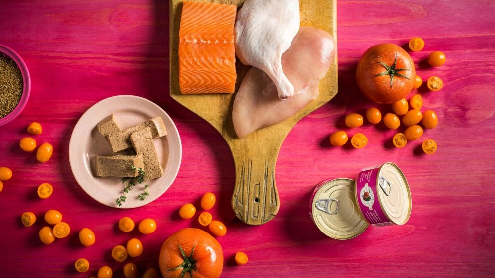 Fromm Four-Star Chicken, Duck & Salmon Pate Canned Cat Food