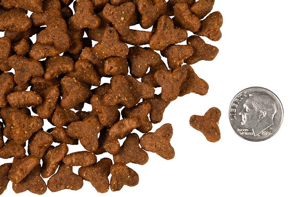 Fromm Four Star Grain Free Game Bird Recipe Dry Cat Food