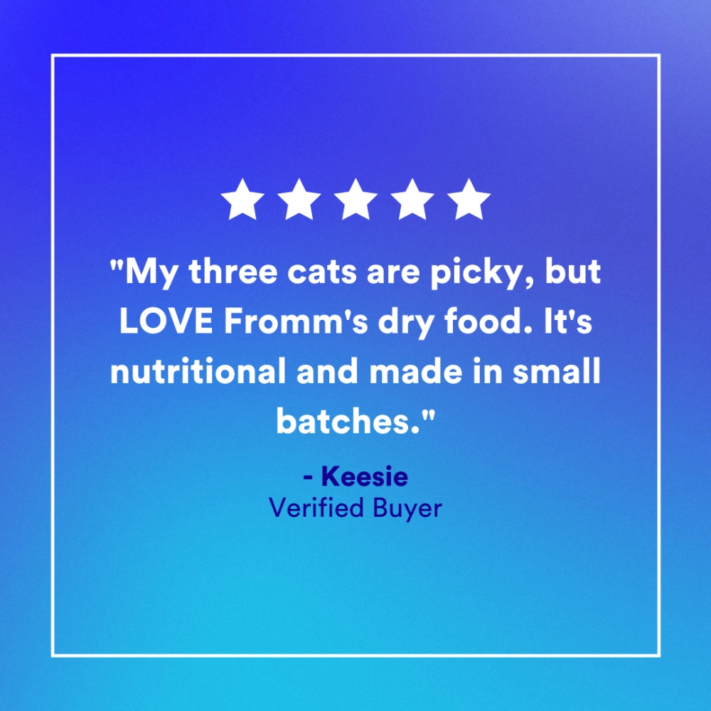 Fromm Four Star Grain Free Game Bird Recipe Dry Cat Food