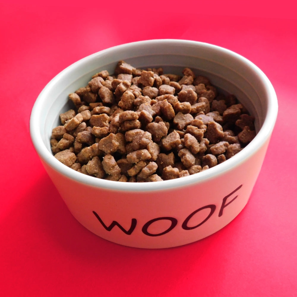Fromm Four Star Grain Free Hasen Duckenpfeffer Dry Dog Food