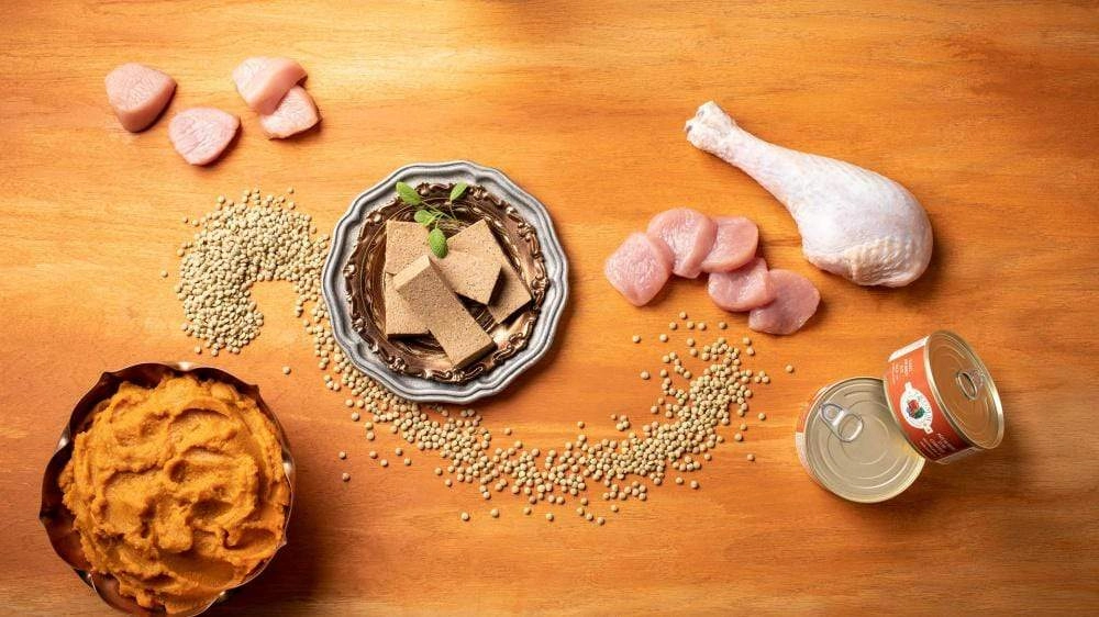 Fromm Four-Star Grain-Free Turkey & Pumpkin Pate Canned Cat Food