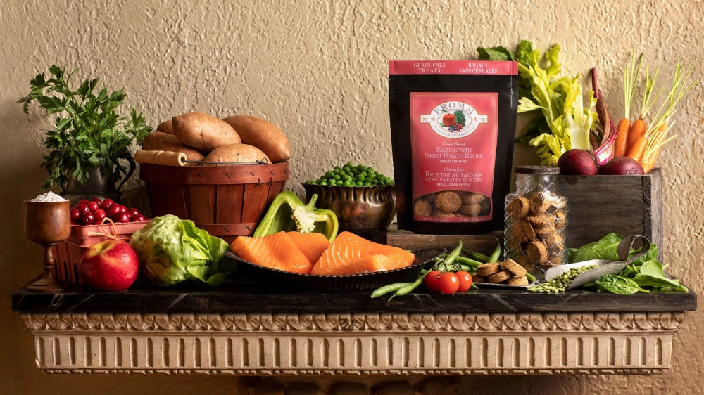Fromm Four Star Nutritionals Grain Free Salmon with Sweet Potato Dog Treats
