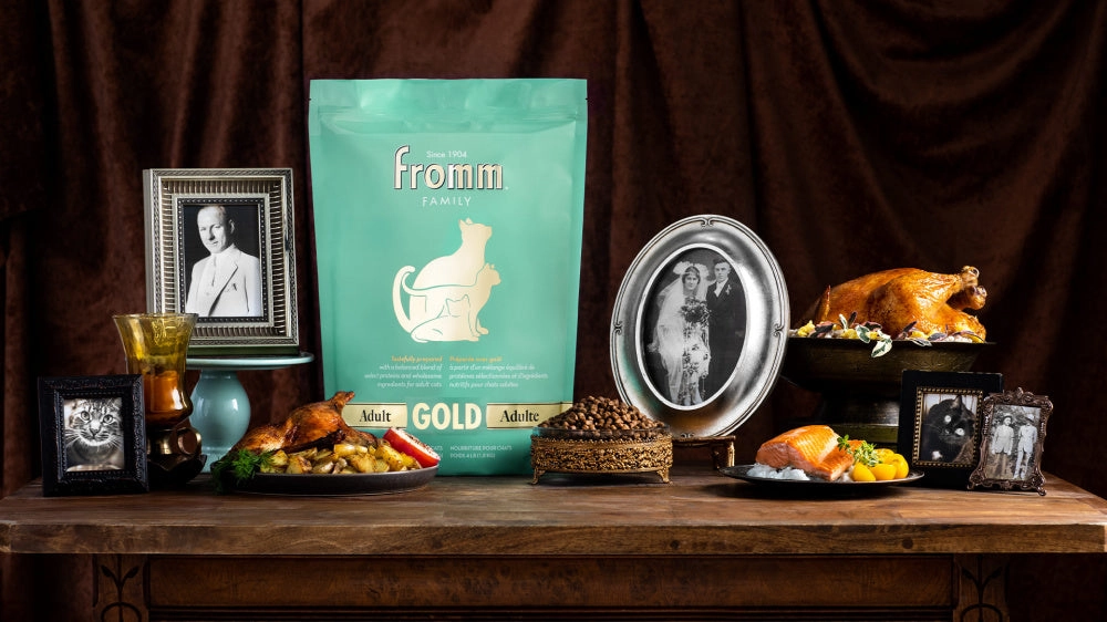 Fromm Gold Adult Dry Cat Food