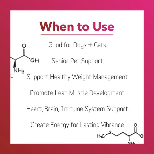InClover BioVibrant Heart Health Powder Supplement for Dogs & Cats