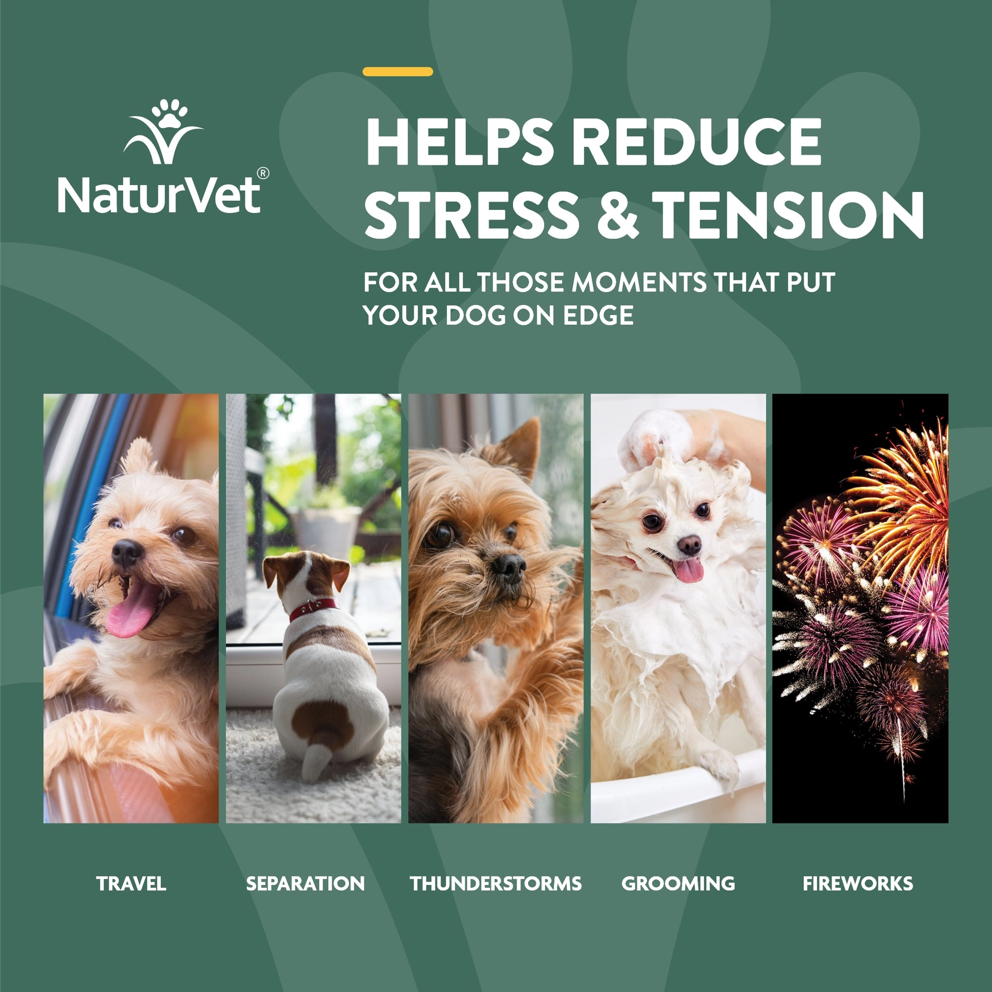 NaturVet Hemp Quiet Moments Plus Hemp Seed Soft Chew Calming Supplement Treats for Dogs