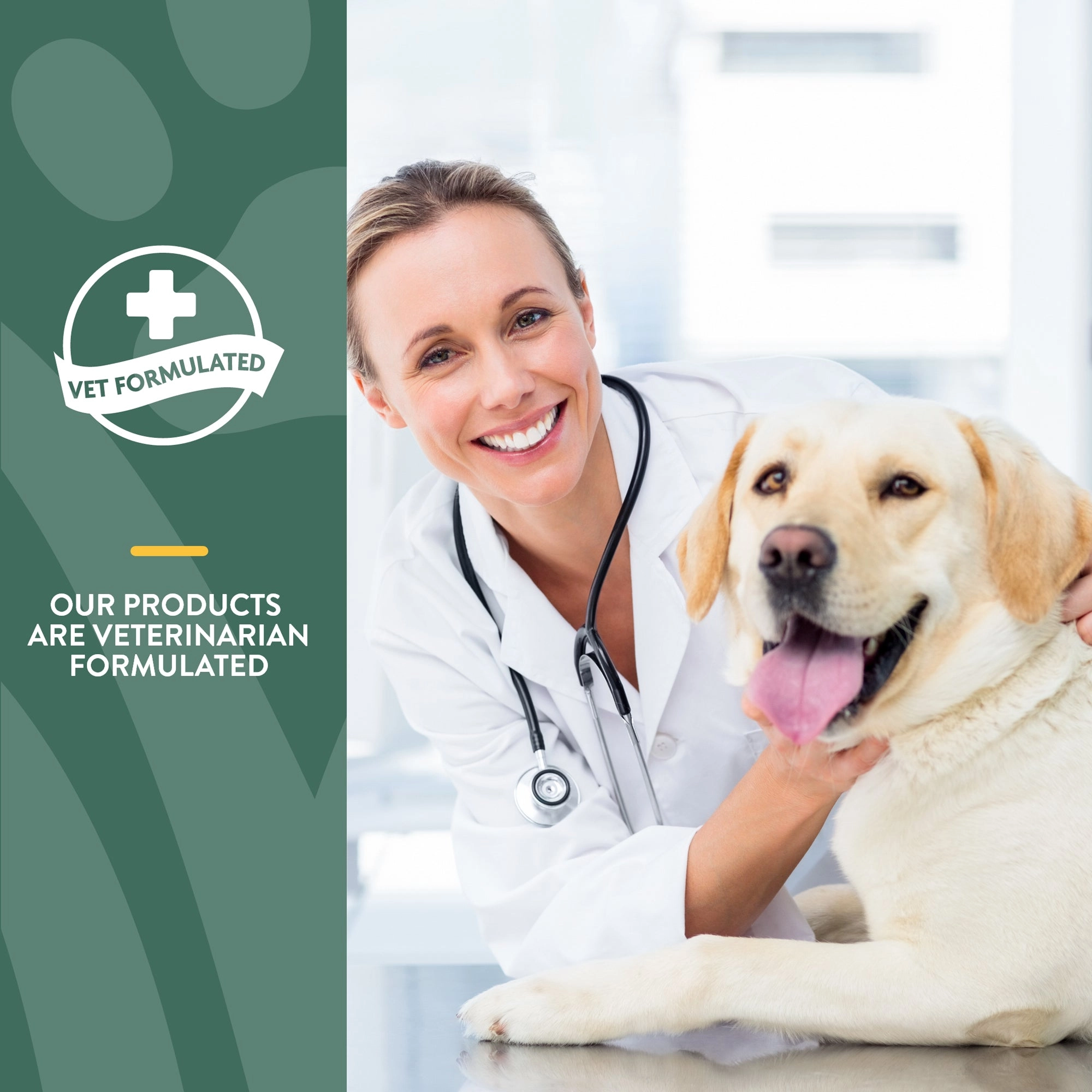 NaturVet Hemp Quiet Moments Plus Hemp Seed Soft Chew Calming Supplement Treats for Dogs