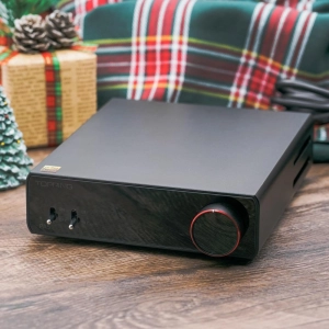 Open Box TOPPING PA5 Fully Balanced Class D Power Amplifier (Worldwide Shipping)