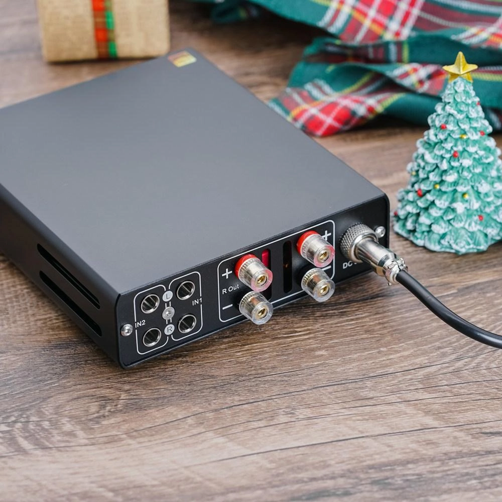 Open Box TOPPING PA5 Fully Balanced Class D Power Amplifier (Worldwide Shipping)