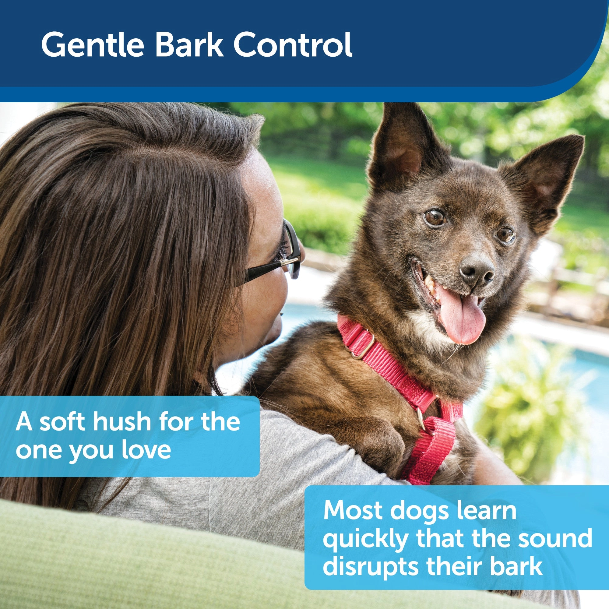 PetSafe Outdoor Ultrasonic Bark Control - No Barking Deterrent for All Dog Sizes - Up to 1/4 Acre (50 ft) Coverage - Automatic Activation - Weatherproof - Great for Backyards - Bird House Design