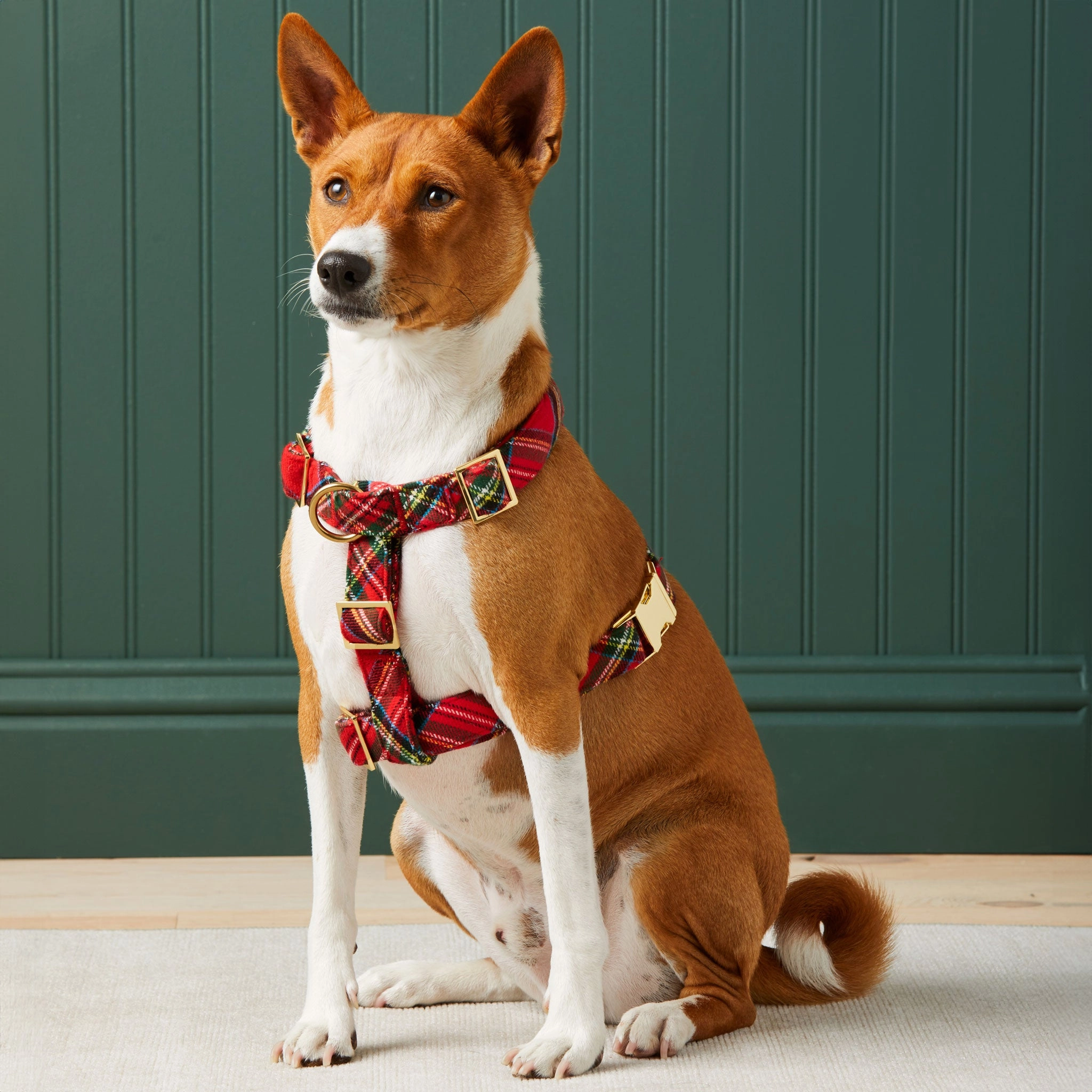 The Foggy Dog Harness - Tartain Plaid Flannel
