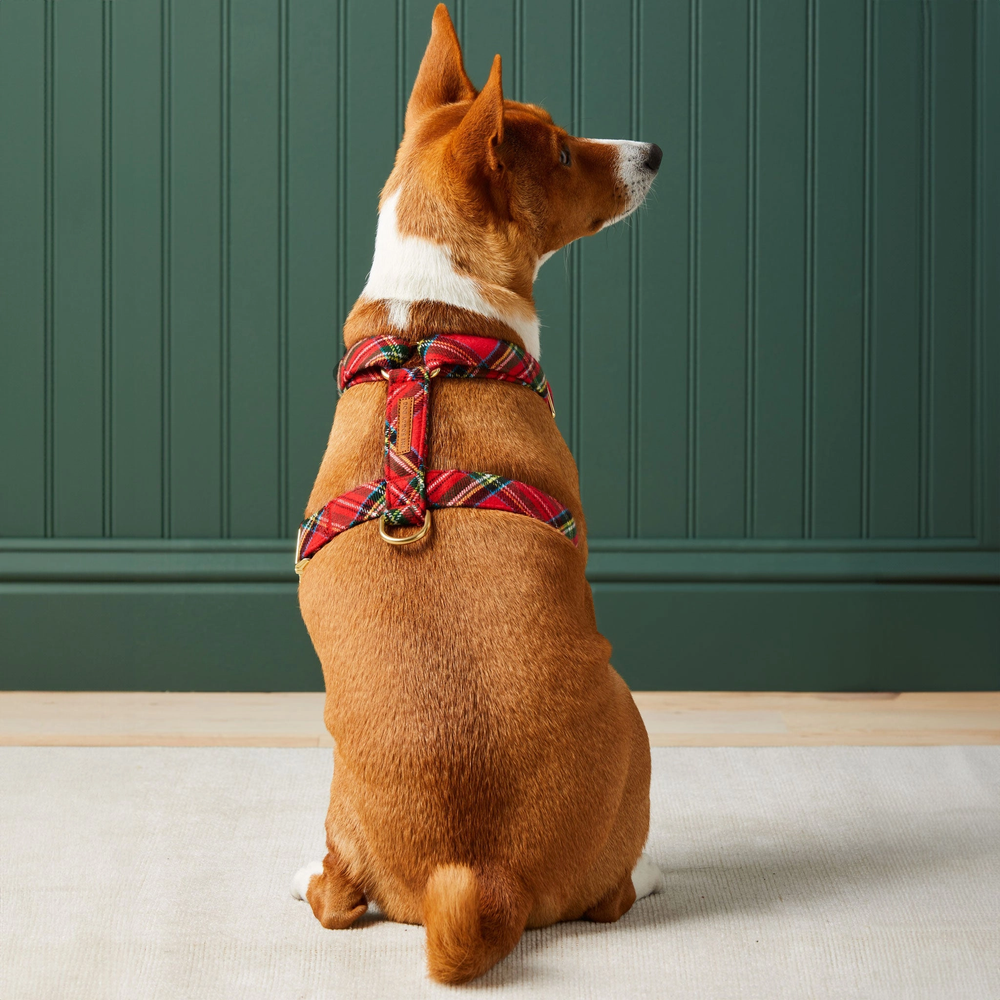 The Foggy Dog Harness - Tartain Plaid Flannel