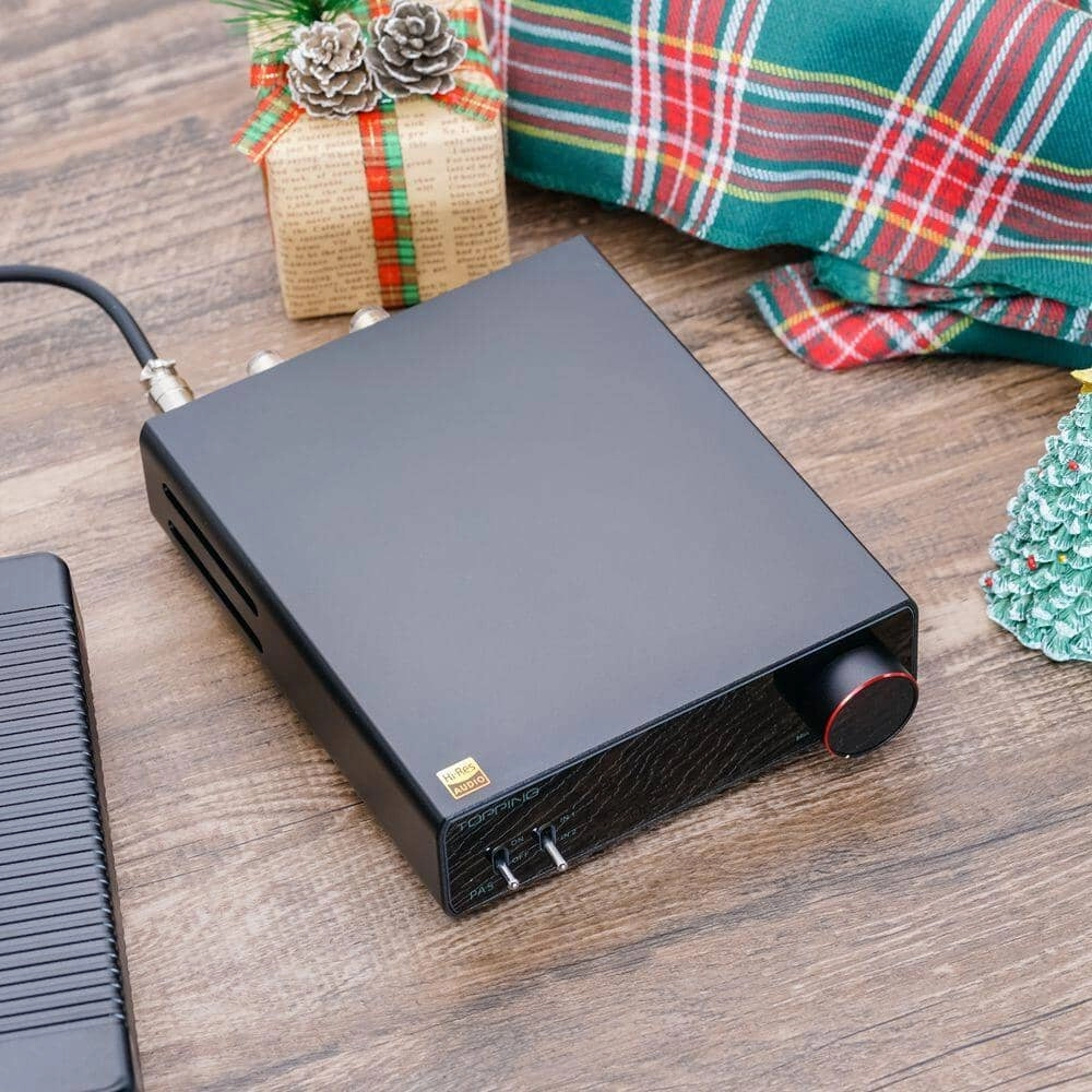 TOPPING PA5 Fully Balanced Class D Power Amplifier