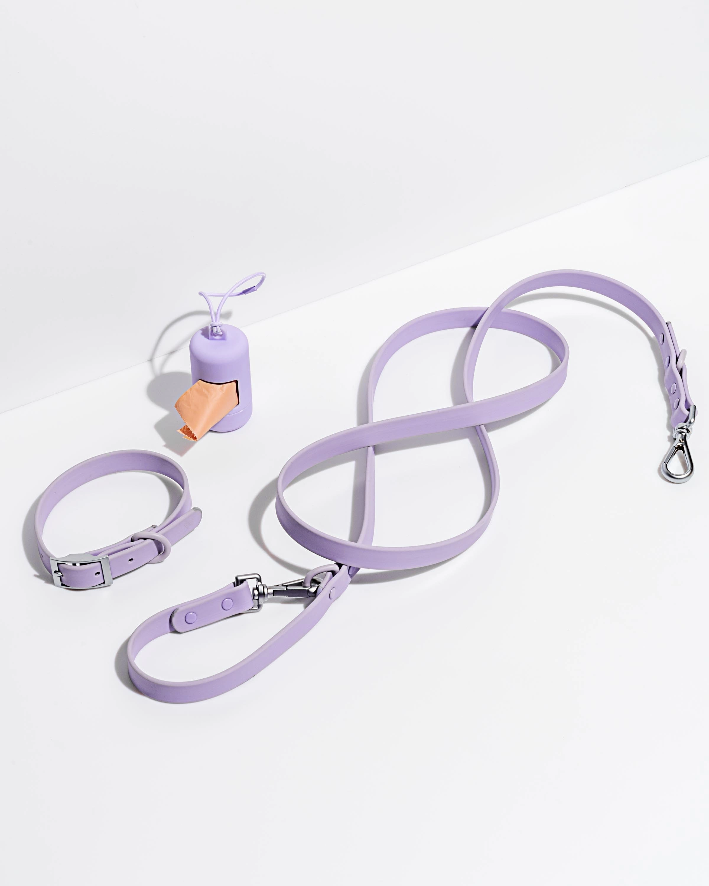 Wild One Dog Collar - Lilac